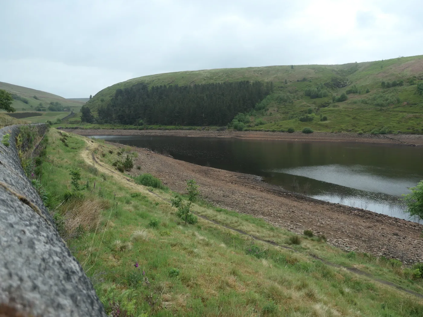 Hard Water News: July 2026